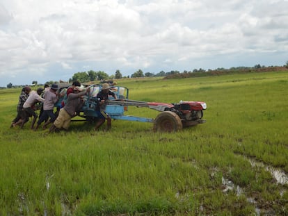 Un grupo de trabajadores aran un arrozal en Battambang (Camboya) en 2022.