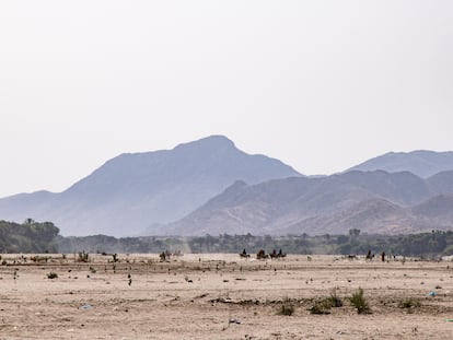 Cauce seco de un río en Akordate, Eritrea