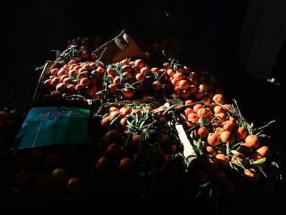 Naranjas en un mercado de Saná (Yemen), el 14 de diciembre.