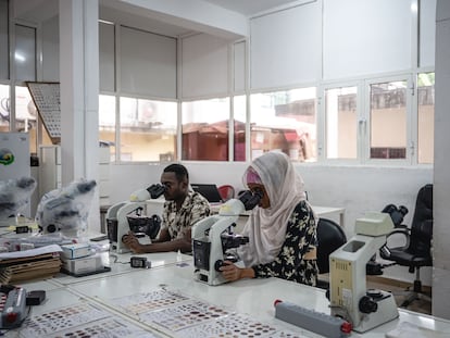 Laboratorio del Centro Nacional de Malaria de Comoras en la ciudad de Moroni, el pasado 27 de marzo.
