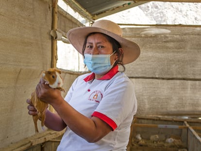 Gisela Ramírez preside la Asociación Peruanitas Empeñosas, con 14 socias que crían cuyes y venden su carne desde la sierra limeña.
