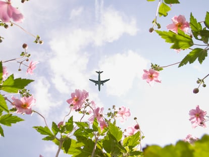 Un avión sobrevolando un campo de flores.