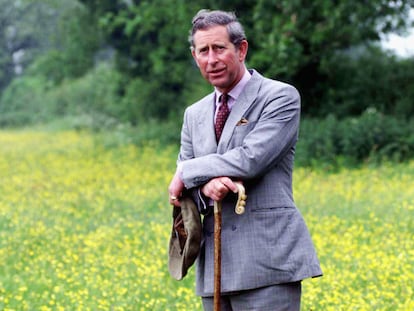 El todavía Príncipe de Gales, durante una visita a la granja Clattinger, en Malmesbury, en 1999.