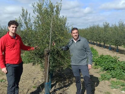 Raúl Miguel y Miguel Gallego, agricultores de Zaragoza que se encuentran de intercambio en Jaén, en una imagen cedida.