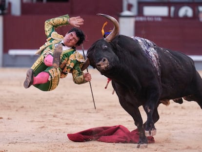El torero mexicano Isaac Fonseca, prendido por la espalda por el sexto toro de la tarde.