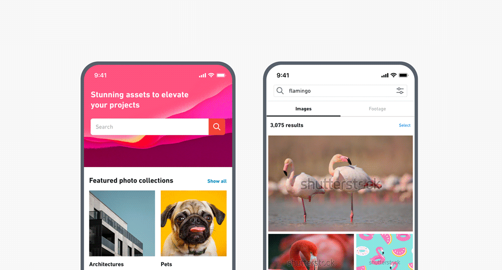 mobile app discover search