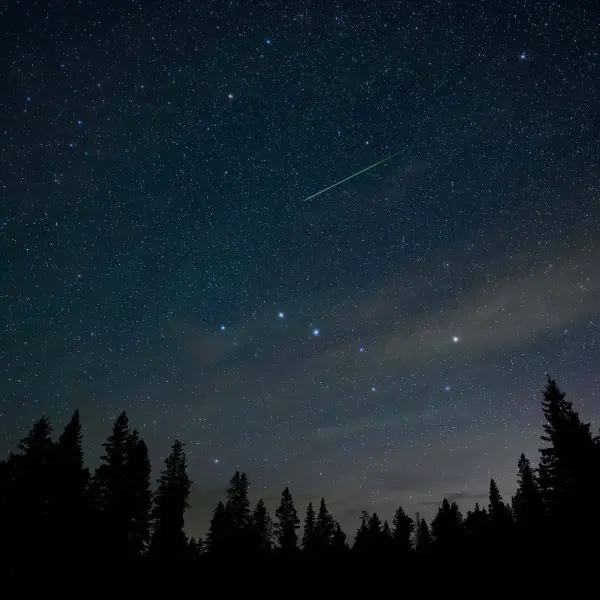 The night sky filled with stars including the Big Dipper and a bright green meteor above a skyline of dark evergreen trees. This was part of a meteor shower.
