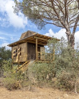 The 260-square-foot tree house in Melides that Madeiguincho designed was inspired by a pair of centenary pine trees.