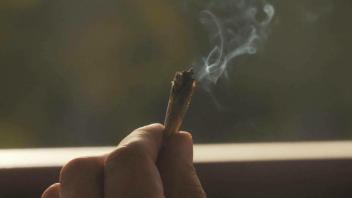 Cannabis: So sieht der deutsche Legalisierungs-Plan aus