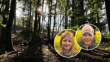 Svea und Klara stellen dir drei Bäume vor, die du kennen musst!