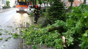 Die Feuerwehr Glückstadt hat am Dienstagmorgen (28. Mai) einen abgestürzten Ast beseitigt.