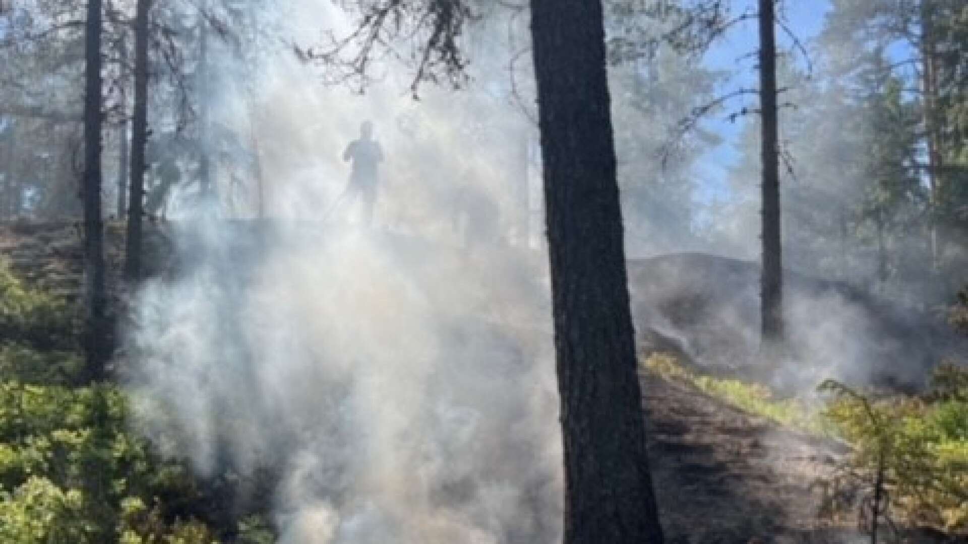 En skogsbrand härjar på Röhöjden.