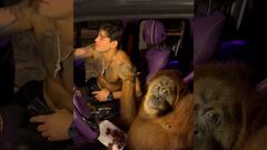 Ryan García canta junto a un orangután en su automóvil de lujo