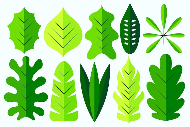 Bezpłatny wektor płaska konstrukcja różnych zielonych liści
