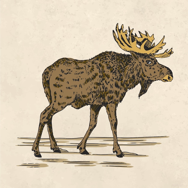 Bezpłatny wektor ręcznie rysowane ilustracja retro zwierząt