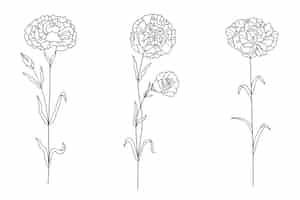 Bezpłatny wektor ręcznie rysowane prosty zarys kwiatu