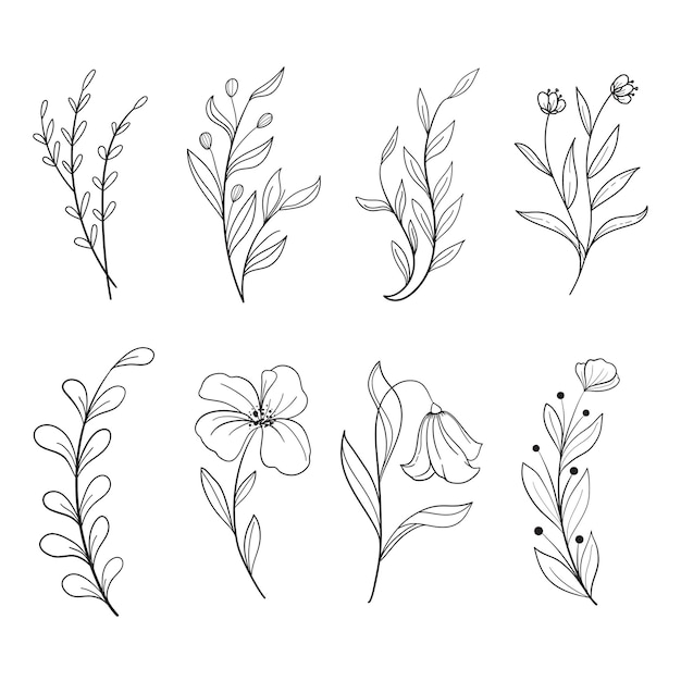 Zestaw botanicznych liści doodle wildflower Kolekcja rysunków botanicznych linii sztuki