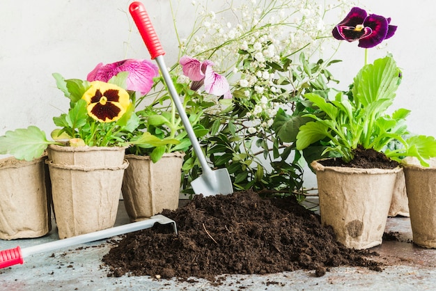Bezpłatne zdjęcie narzędzia ogrodnicze w glebie z roślinami doniczkowymi torfowymi
