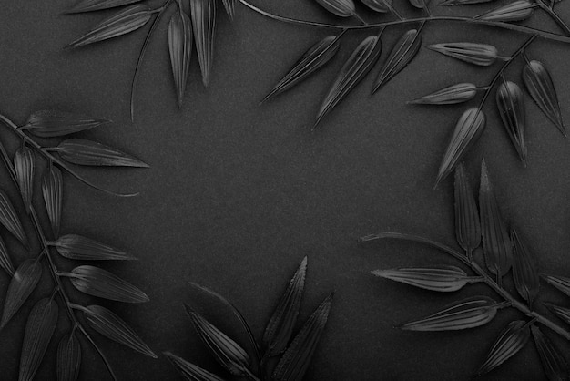 Bezpłatne zdjęcie czarne tło z liśćmi i teksturą roślinności
