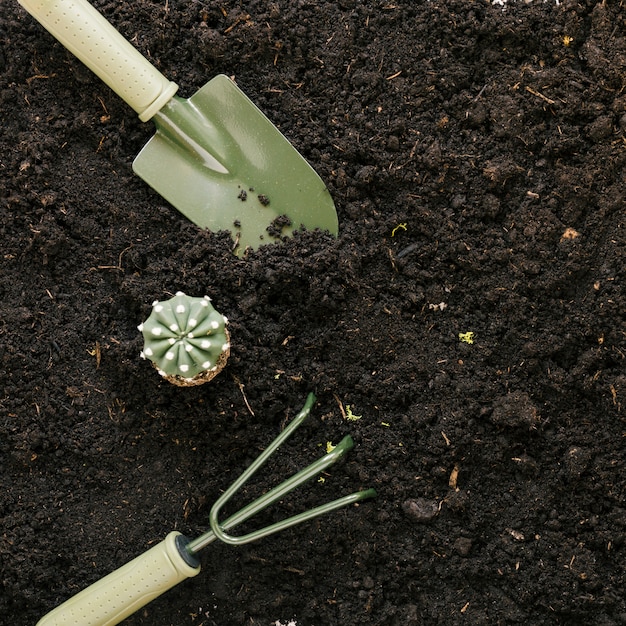 Bezpłatne zdjęcie fałszywa kaktusowa roślina i ogrodnictw narzędzia nad czarna ziemia