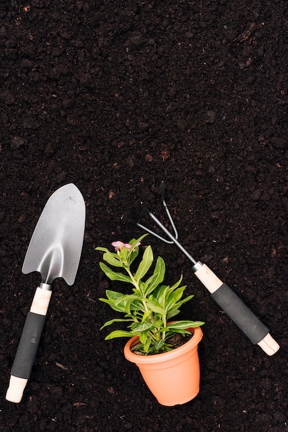 Bezpłatne zdjęcie płaskie lay narzędzia ogrodnicze z doniczki