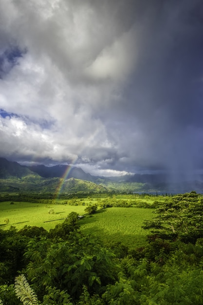 Foto grátis bela paisagem com grama verde e a vista deslumbrante do arco-íris nas nuvens de tempestade