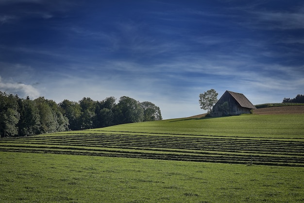 Foto grátis grande plano de uma casa isolada no campo de grama, rodeado por árvores verdes sob o céu nublado