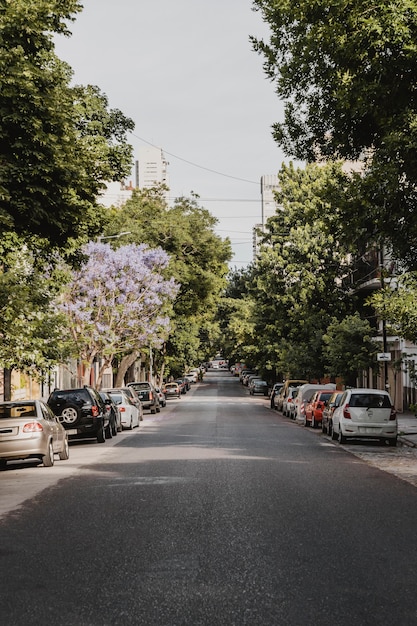 Foto grátis vista frontal da rua da cidade com carros e árvores