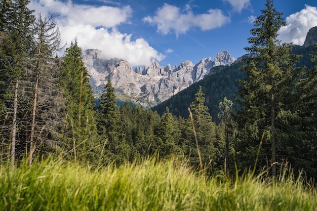 Foto val venegia con vista de pale di san martino grupo de montañas dolomitas italianas patrimonio mundial de la unesco