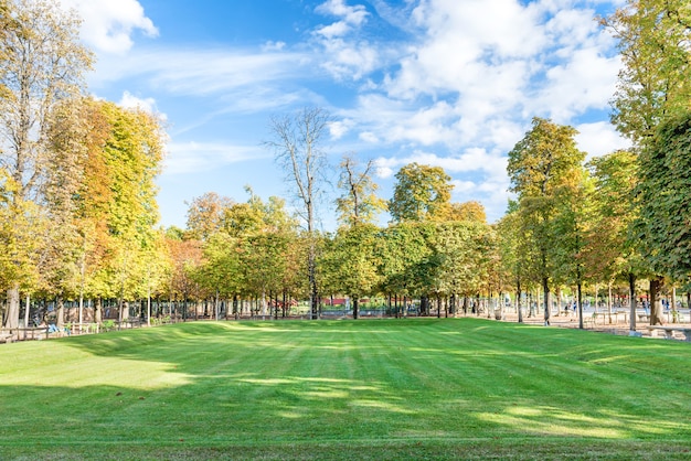 Foto campo verde con árboles en el jardín de las tullerías en parís, francia