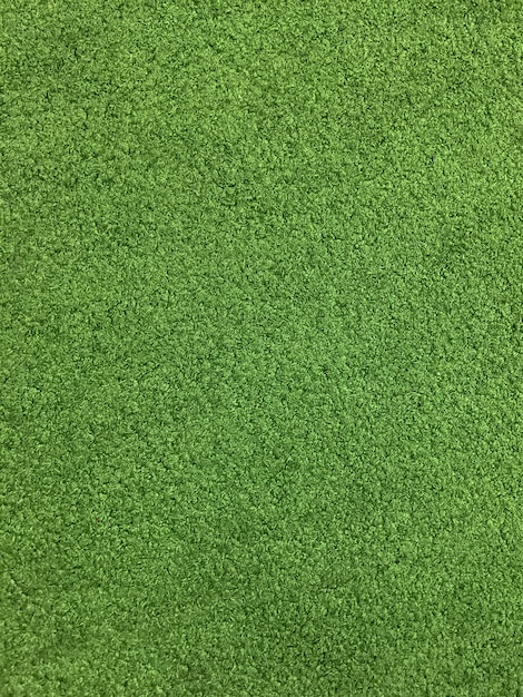 Foto campo de hierba verde
