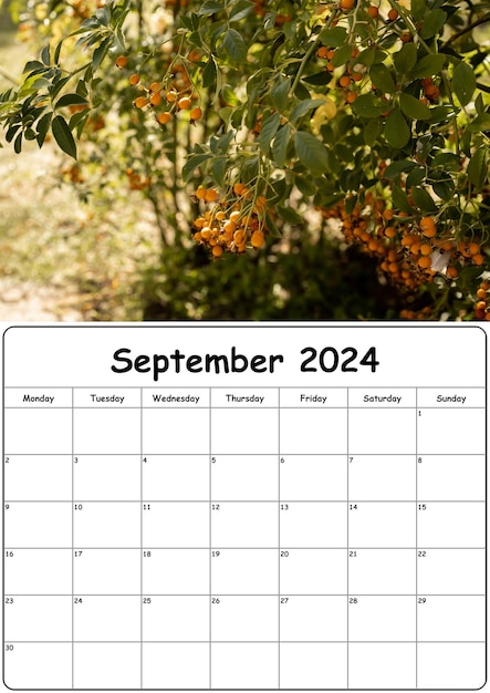 Foto calendario con imágenes de la naturaleza para septiembre de 2024