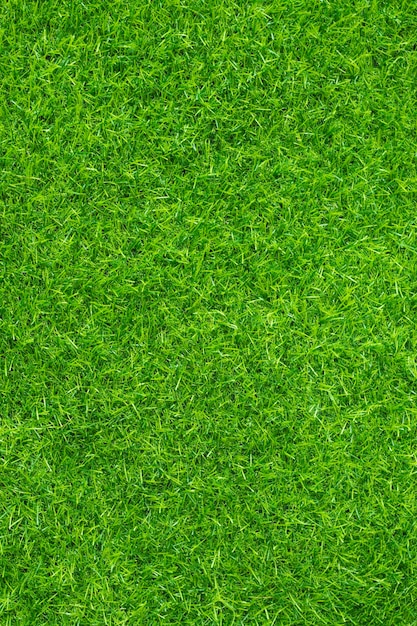 Foto fondo de textura de hierba verde concepto de jardín de hierba utilizado para hacer campo de fútbol de fondo verde hierba golf fondo de textura de patrón de césped verde