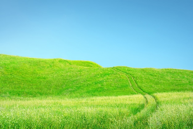 Fundo da grama e do céu. Grama verde com pistas de rodas e colinas sobre o céu azul claro