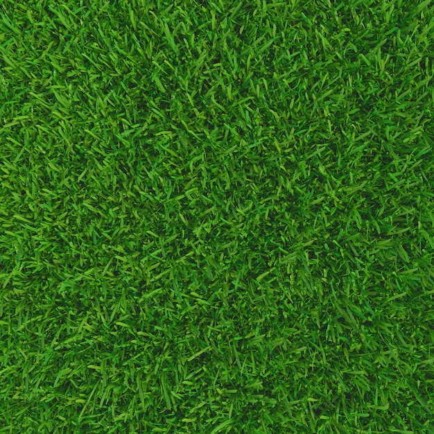 Foto hierba verde fondo natural textura primavera hierba verde d ilustración