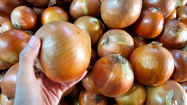 Foto imagen en primer plano de una mano seleccionando una cebolla fresca de una pila en un mercado local