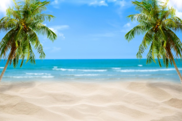 Foto palmeras en la playa contra el cielo
