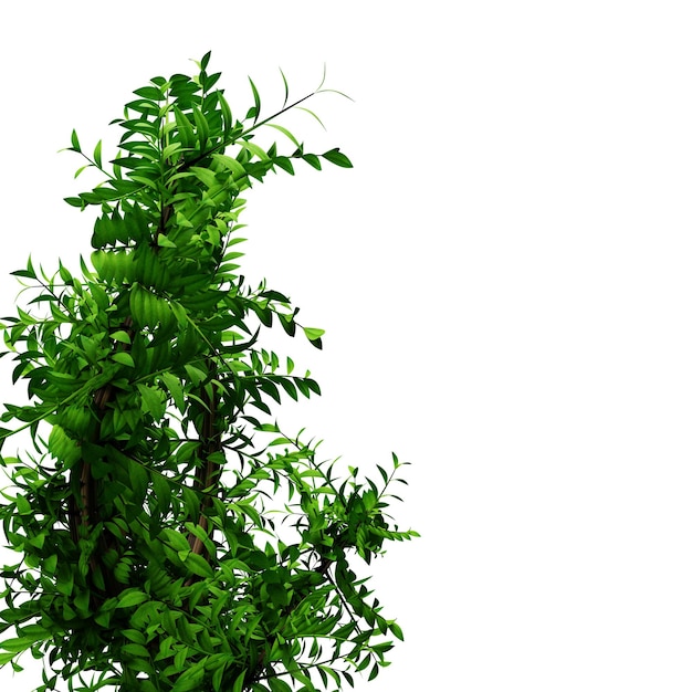 Foto plantas verdes brotan hojas sobre elementos de plantas transparentes.