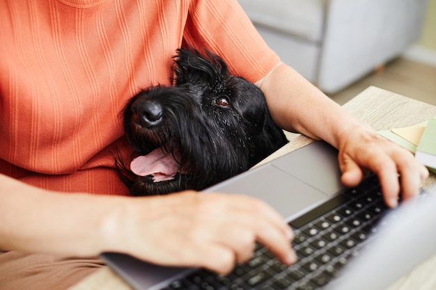 Primer plano del propietario haciendo su trabajo en línea en la computadora portátil en la mesa con el perro sentado cerca de ella