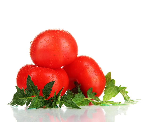 Foto reife tomaten, isoliert auf weiss