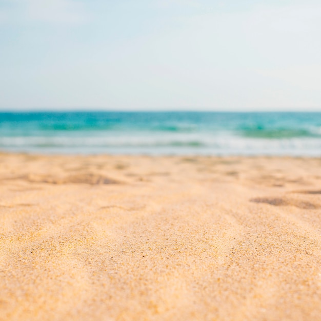 Foto gratuita composición de playa con espacio en blanco para texto