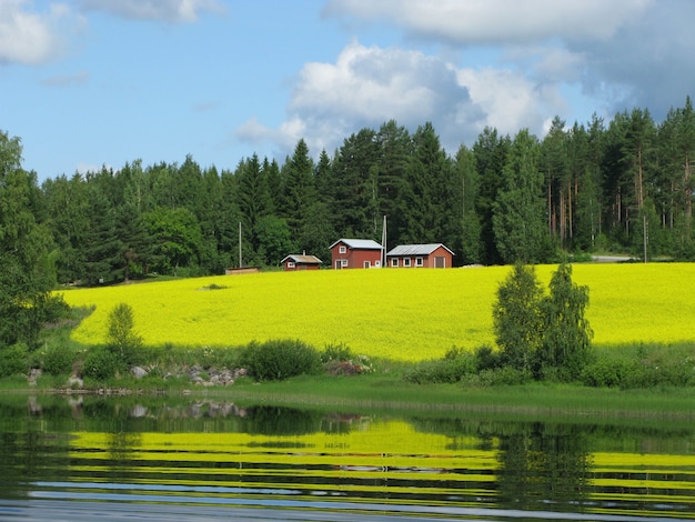 Foto gratuita casas y árboles en una hermosa colina cubierta de hierba junto a un lago capturado en finlandia