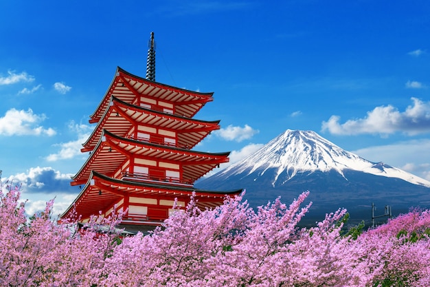 Foto gratuita cerezos en flor en primavera, pagoda chureito y montaña fuji en japón.