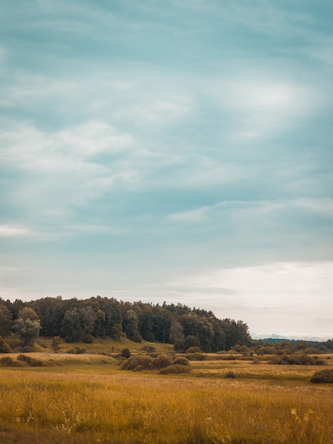 Foto gratuita cielo nublado sobre las colinas con pasto seco en una zona rural