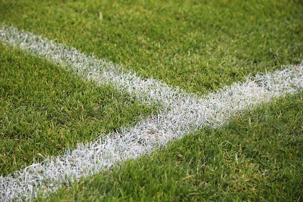 Foto gratuita closeup foto de líneas blancas pintadas en un campo de fútbol verde en alemania