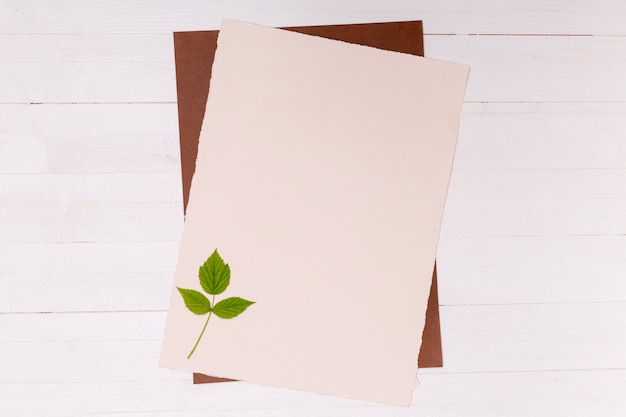 Foto gratuita abedul plateado hojas pequeñas en la superficie del espacio de copia