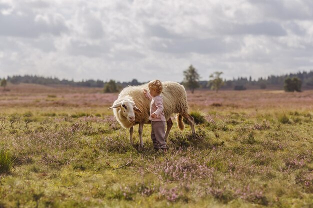 Foto de ensueño de una adorable niña caucásica acariciando una oveja en una granja
