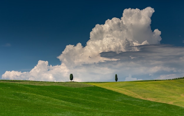 Foto gratuita foto de paisaje de una colina verde con dos árboles verdes en val d'orcia toscana italia