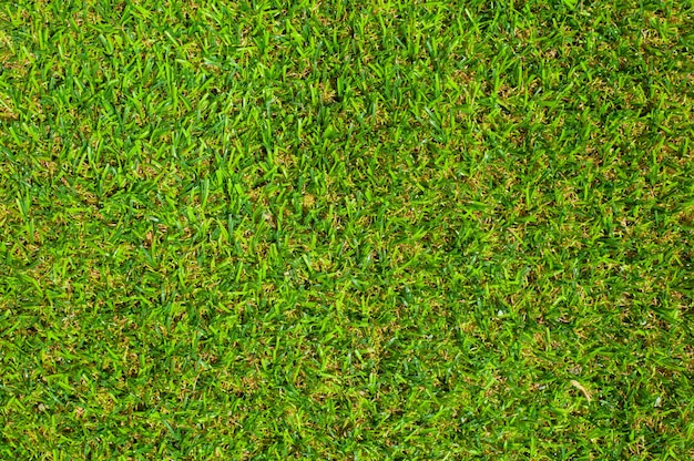 Foto gratuita fondo de textura de hierba verde