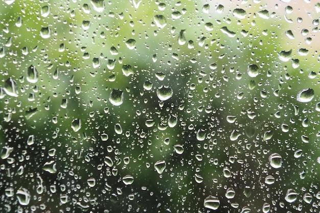 Foto gratuita hermosa textura de gotas de lluvia en una ventana con árboles verdes y luz solar visible a través de ella